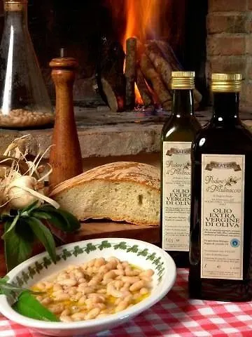Agroturismo Agriturismo Il Mulinaccio Villa Volterra
